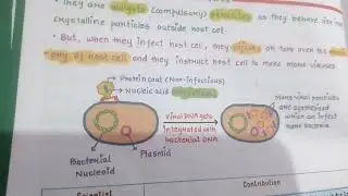 🦠🧬VIRUS, VIROID, PRION  how to bacteriophage hijack bacteral machinary❓
