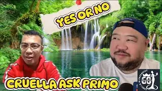 CRUELLA ASK PRIMO! YES OR NO?