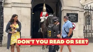 IDIOT Tourist Touches Horse &ndash; This Happened Next!
