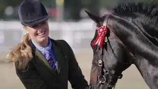 The British Riding Pony