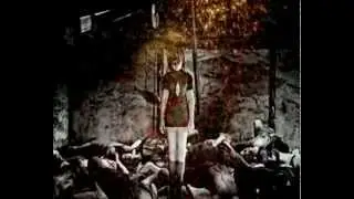 Fatal Frame II: Crimson Butterfly (Project Zero) 30s Ad