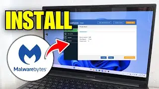 How To Install & Use Malwarebytes (Windows 11)