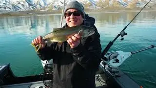 Pyramid Lake Giants