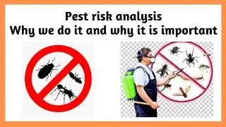 What are the purposes of pest risk analysis || Why we do it and why it is important ||
