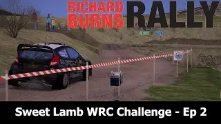 WRC 2014 Vs WRC 2019 | Sweet Lamb Challenge - Ep 2 - Fiesta WRC 2014 (RBR Hungarian Mod)