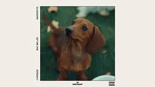 Carnage - Learn How to Watch Feat. Mac Miller & MadeinTYO (Official Audio)