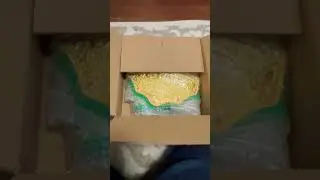 NCTS - NEXT ! Unboxing WWE BIG GOLD from FANDU BELTS #wwe #biggold