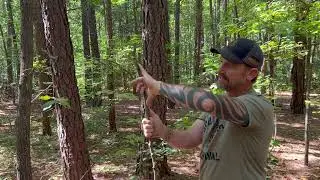How to Build a Paiute Deadfall Trap | Primitive Survival & Bushcraft Skills
