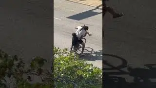 Guy on red bike with three little birds