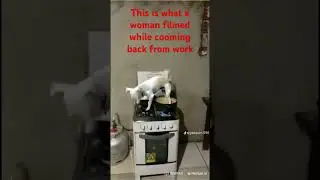 #horrorsoundeffect #funny #soundeffectsfx #freesoundfx #animation #memes #soundeffects #gamingsoundf