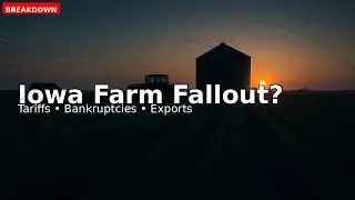 Did Tariffs Backfire on Iowa Agriculture? Reaction to Viral Clips