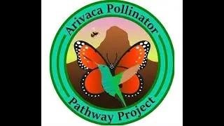 Arivaca Mural and Pollinator Pathway Project Documentary