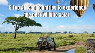 5 Top African Countries to experience the best Wildlife Safari | Top Destination. Best Time to Visit