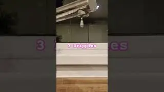 3 dripples