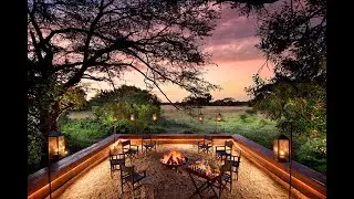 African. Safari. Experts.