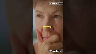Your Memory Can Be Fake