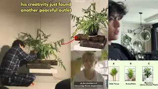 Тэхён теперь настоящий папа-любитель растений 🌱✨ Ви из BTS процветает, и нам очень нравится эта п...