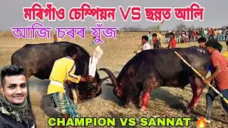 MORIGAON CHAMPION VS SANNAT ALI || DHING SOROR JUJ #mohjuj #mrblack