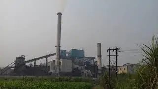 mawana sugar mill