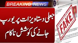 Attempt to Travel to Europe on Fake Documents Foiled
