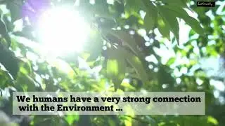 Reimagine. Recreate. Restore- Theme of world environment day 2021