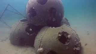 GMC Reef