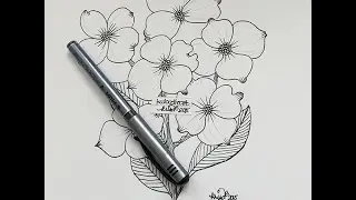 how I draw a dogwood bloom