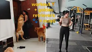 Workout Vlog 🏋️&zwj;♀️ | Daily Life with My Golden Retrievers 🐶💛| Vlogging with three Golden Retrievers🐾
