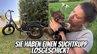 Such mein Bengal Kater mit dem Cyrusher Rumble und zusätzlich mit der Drohne..