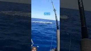 Top water#streak#sea catch fishing#subscribe