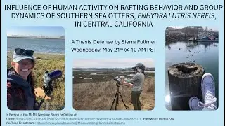 Sierra Fullmer: Influence of Human Activity on Rafting Behavior and Group Dynamics of Southern Sea..