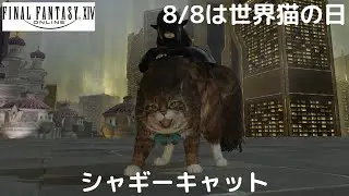 【FF14】雑談動画 8月8日は世界猫の日 シャギーキャット