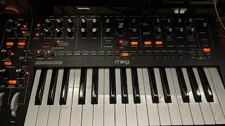 Synth Jam - Walking in the cold with my Chi. 