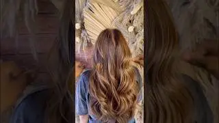 #hairmaster #hairstyle #balayageeducator #reels