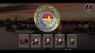 PGL Stockholms 2021 Majors Pick'ems Champion Stage Predictions