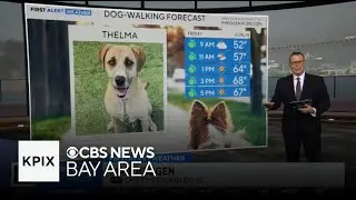 First Alert Thursday evening weather forecast - April 17, 2025