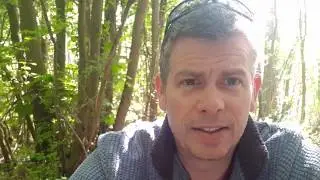 Wildlife under lockdown, by Professor Adam Hart