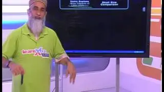 Human Evolution