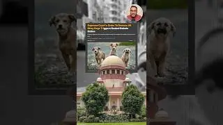 Supreme court big decision on stray dogs in Delhi NCR 😳 Do you agree with this? #dogs #dogshorts