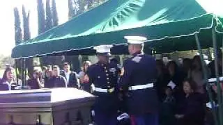 MOV03233