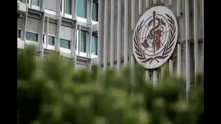 US Decision to Exit World Health Organization Is the Correct Move: Analyst