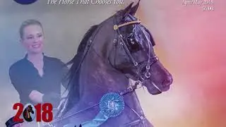 Grand National & World Championship Morgan Horse Show&reg;