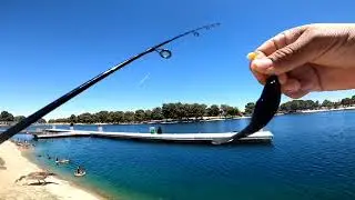 Short video green sunfish fishing 🎣 🎣 at Apollo Park.