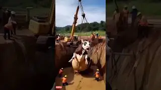 🐄 GIANT COW RESCUE! Trapped in Mud Hole&mdash;Will It Survive? 😱
