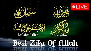 Live Zikr Session: Subhanallah, Alhamdulillah, La ilaha illallah, Allahu Akbar.