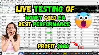 MoneyGold EA &ndash; Precision Trading Automation Best Forex EA