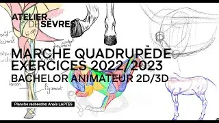 [22/23] Exercices marche quadrupede - Bachelor Animateur 2D/3D