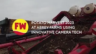 Norfolk potato farm uses innovative camera tech Harvest Eye