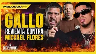 Gallo manda 🔥 a Michael Flores/ Alofoke se la da a Molu/ Sexologa interroga a las nenas