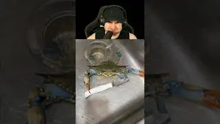 Perfectly timed discord memes! Try not to laugh!